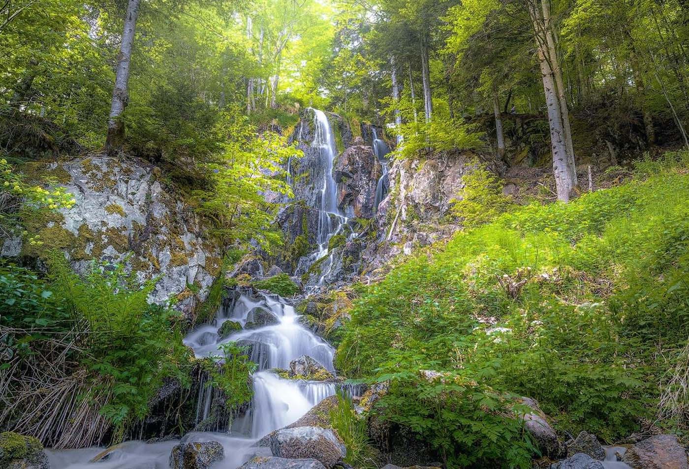 Photographe à Le Hohwald